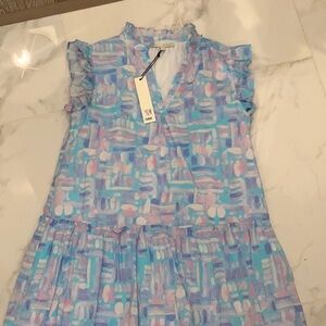 Pinch Blue and Pink Casual Dress